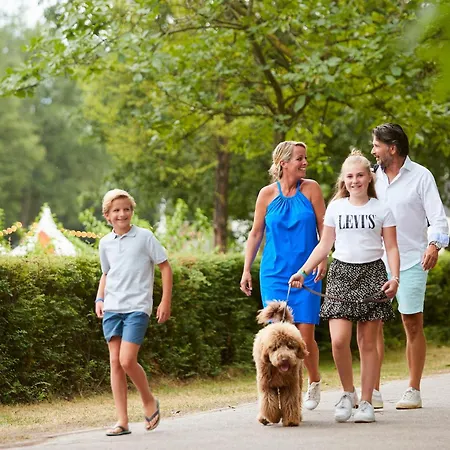 Forest 4 Persons #328 Holiday home Maasbree